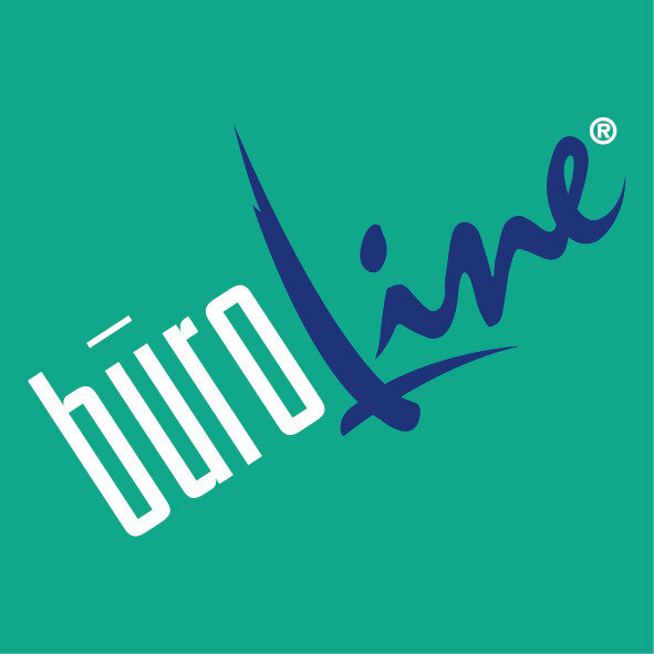 B&Uuml;ROLINE Minen F 254253 0,5mm 12 St&uuml;ck