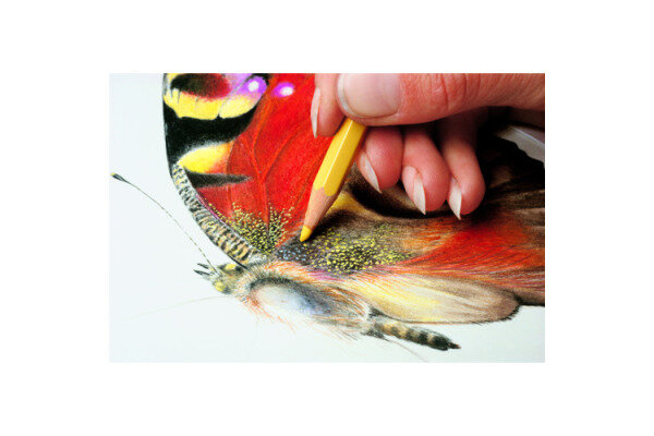 CARAN DACHE Farbstifte Prismalo 3mm 999.249 olive