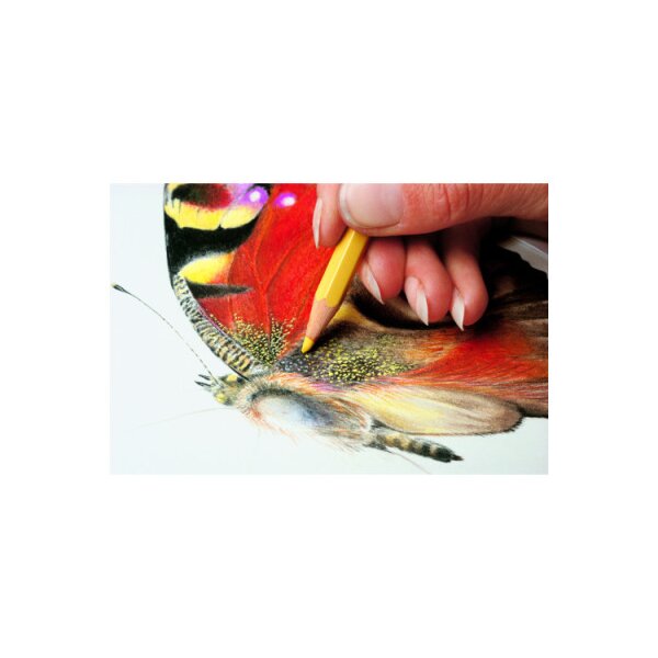 CARAN DACHE Farbstifte Prismalo 3mm 999.080 karmin