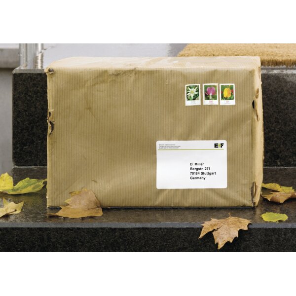 HERMA Etiquette dexp&eacute;dition SPECIAL, 99,1 x 67,7 mm
