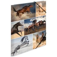 HERMA Eckspannermappe "Hunde", aus Karton, DIN A4