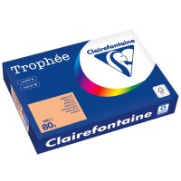 Clairefontaine Papier universel Trophée, A4, assorti intense