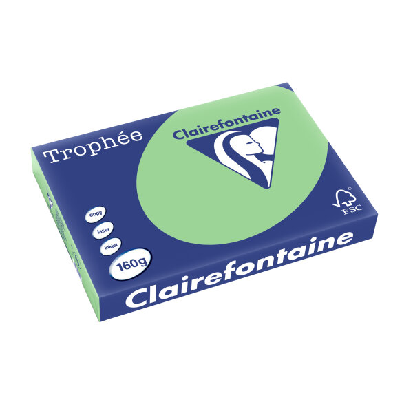 Clairefontaine Multifunktionspapier Trophée, A3, naturgrün
