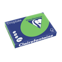 Clairefontaine Multifunktionspapier, DIN A3, maigrün