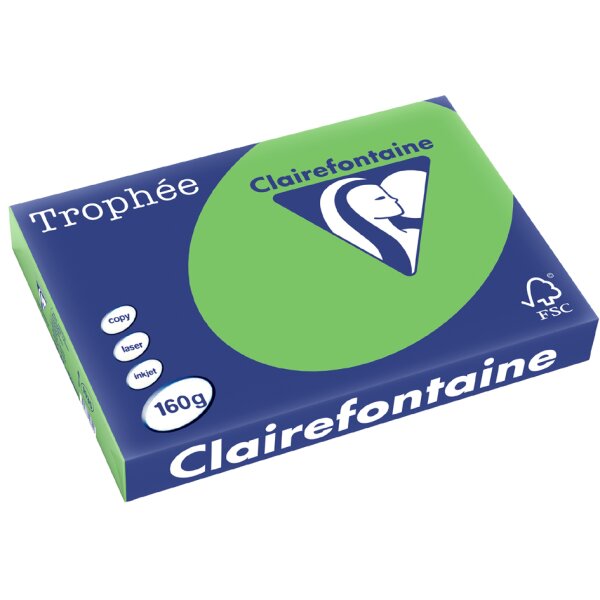 Clairefontaine Multifunktionspapier Trophée, A3, stahlgrau