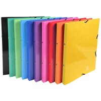 EXACOMPTA Ringbuch Iderama, 2-Ring-Mechanik, A4, hellblau