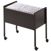 DURABLE Chariot pour dossiers suspendus Economy 80, argent