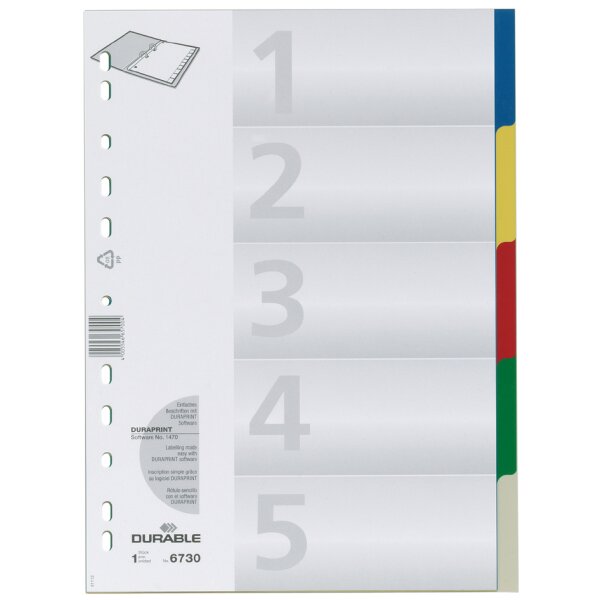 DURABLE Kunststoff-Register, A4, PP, 5-teilig