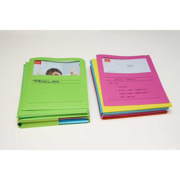 ELCO Organisationsmappe Ordo A4 29488.00 classico, assortiert 100 Stück