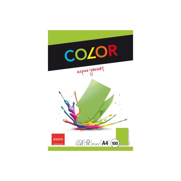 ELCO Office Color Papier A4 74616.62 80g, vert 100 feuilles