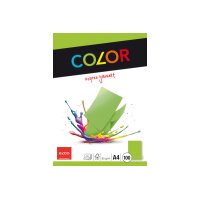 ELCO Office Color Papier A4 74616.62 80g, vert 100 feuilles
