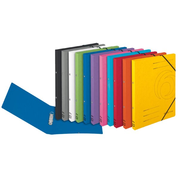 herlitz Classeur &agrave; anneaux easyorga, A4, carton