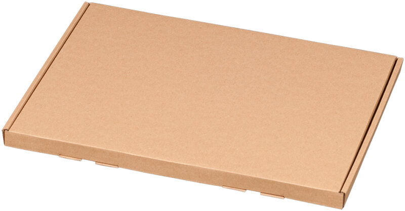 SMARTBOXPRO Grossbrief-Versandkarton, DIN A4, braun