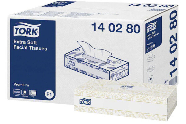 TORK Tissus cosm&eacute;tiques 140280 blanc, 2 plis 100 feuilles