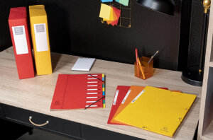 EXACOMPTA Eckspannermappe, DIN A4, Karton, grün