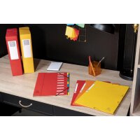 EXACOMPTA Eckspannermappe, DIN A4, Karton, tabak