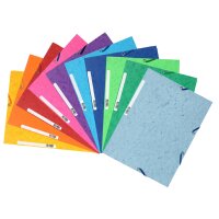 EXACOMPTA Eckspannermappe, DIN A4, Karton, tabak