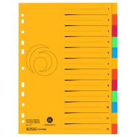 herlitz Karton-Register, A4 Überbreite, 10-teilig, blanko