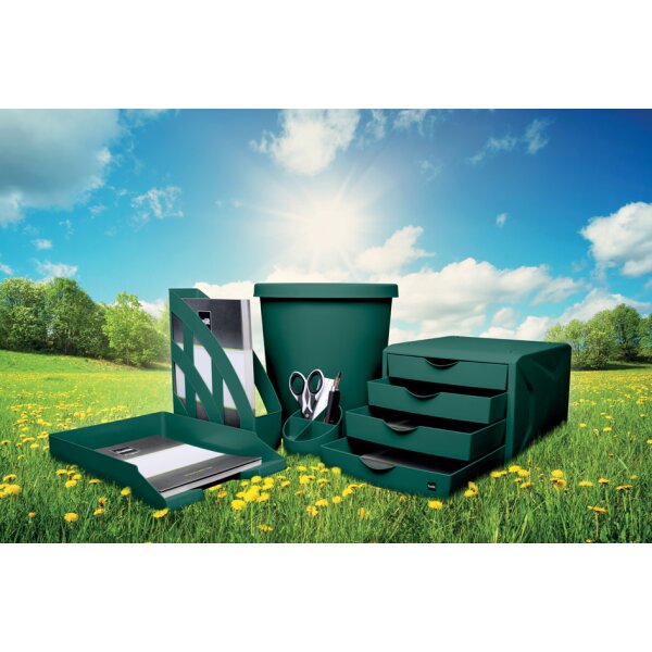helit Schubladenbox "the green chameleon", blau