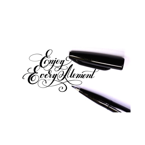 PentelArts Stylo de calligraphie Sign Pen Brush, noir