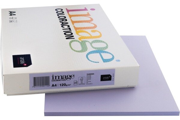 IMAGE COLORACTION Kopierpapier Tundra A4 266668 120g, lavendel 250 Blatt
