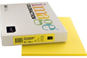 IMAGE COLORACTION Kopierpapier Canary A4 266647...