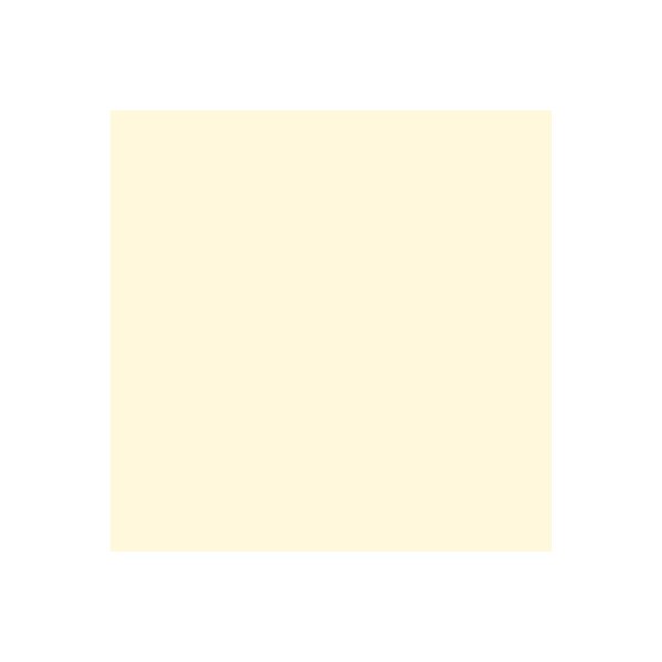 RAINBOW Papier chamois clair/03 A4 88042250 FSC, 80g 500 feuilles