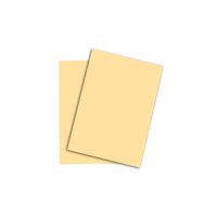PAPYRUS Rainbow Paper FSC A4 88042276 80g, chamois 500...