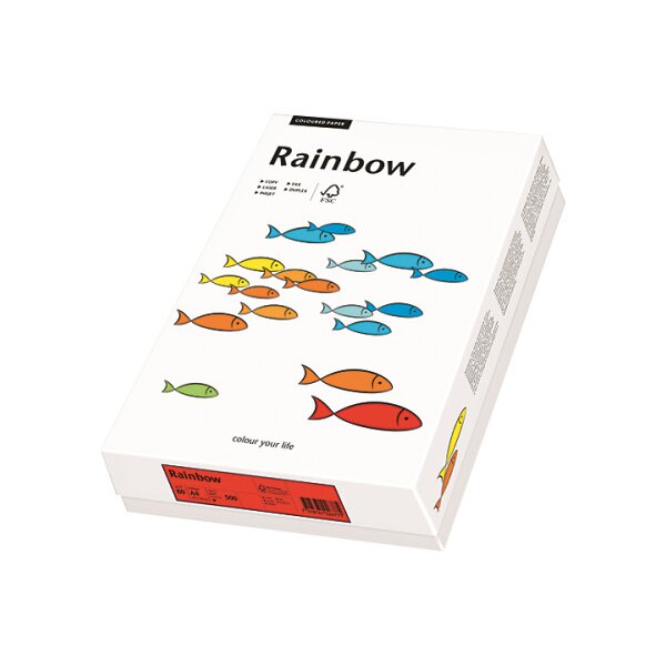 RAINBOW Papier jaune clair/12 A4 88042298 80g, jaune pâle 500 feuilles