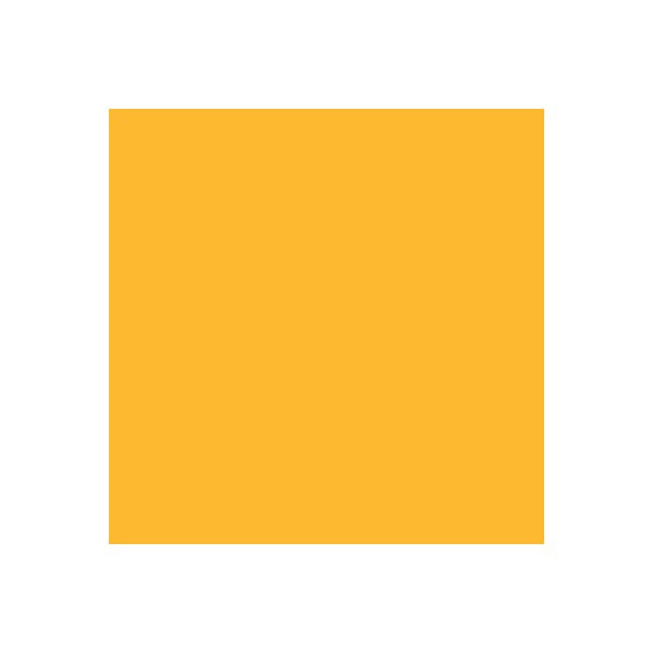 PAPYRUS Rainbow Paper FSC A4 88042410 80g, orange 500 feuilles