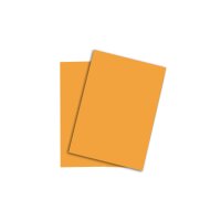 RAINBOW Papier mittelorange/22 A4 88042410 mittelorange,...