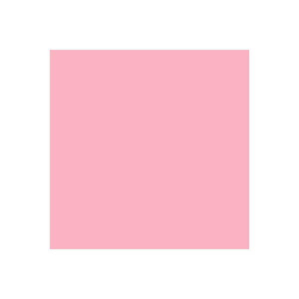 PAPYRUS Rainbow Paper FSC A4 88042542 80g, rose 500 feuilles