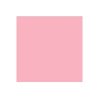 PAPYRUS Rainbow Paper FSC A4 88042542 80g, rose 500 feuilles