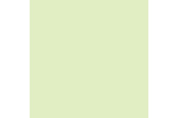 RAINBOW Papier hellgr&uuml;n/72 A4 88042586 FSC, 80g 500 Blatt