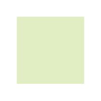 PAPYRUS Rainbow Paper FSC A4 88042586 80g, vert 500 feuilles