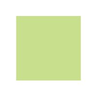 PAPYRUS Rainbow Paper FSC A4 88042608 80g, vert vif 500 feuilles