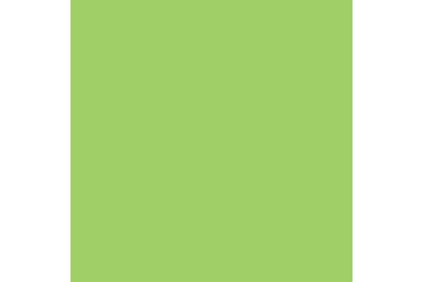 RAINBOW Papier vert/76 A4 88042652 FSC, 80g 500 feuilles