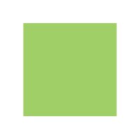 RAINBOW Papier grün/76 A4 88042652 80g, grün 500 Blatt