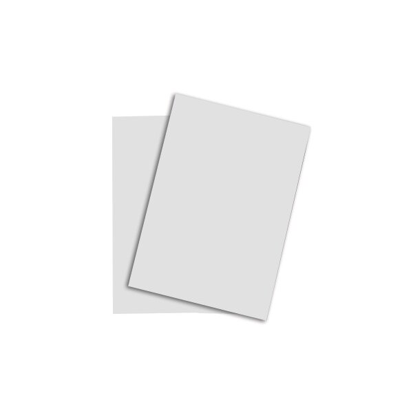 RAINBOW Papier gris clair/93 A4 88042784 FSC, 80g 500 feuilles