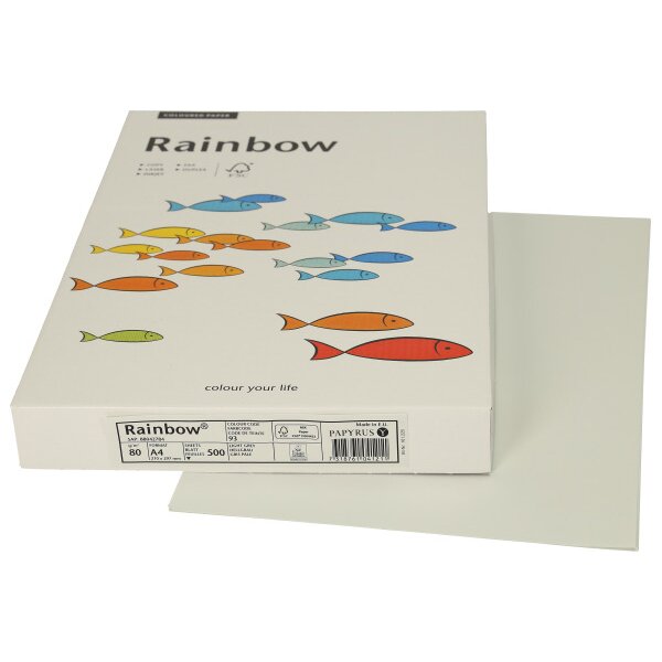 RAINBOW Papier gris clair/93 A4 88042784 FSC, 80g 500 feuilles