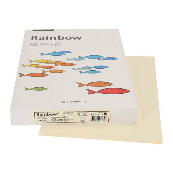 RAINBOW Papier chamois clair/03 A4 88043095 FSC, 120g 250 feuilles