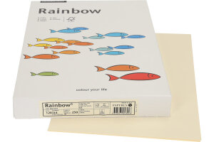 RAINBOW Papier chamois clair/03 A4 88043095 FSC, 120g 250...