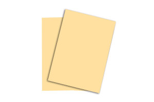 RAINBOW Papier chamois/06 A4 88043096 FSC, 120g 250 feuilles