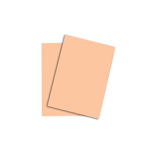 RAINBOW Papier saumon/40 A4 88043105 FSC, 120g 250 feuilles