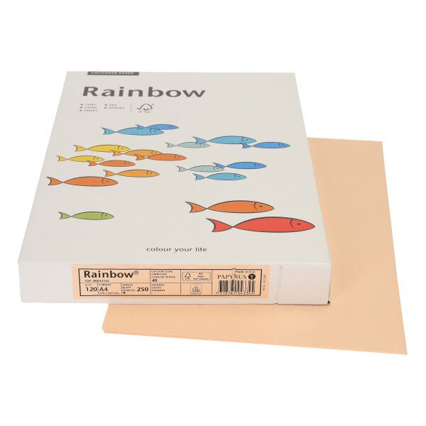 RAINBOW Papier saumon/40 A4 88043105 FSC, 120g 250 feuilles