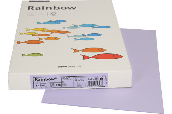 RAINBOW Papier violet/60 A4 88043108 FSC, 120g 250 feuilles