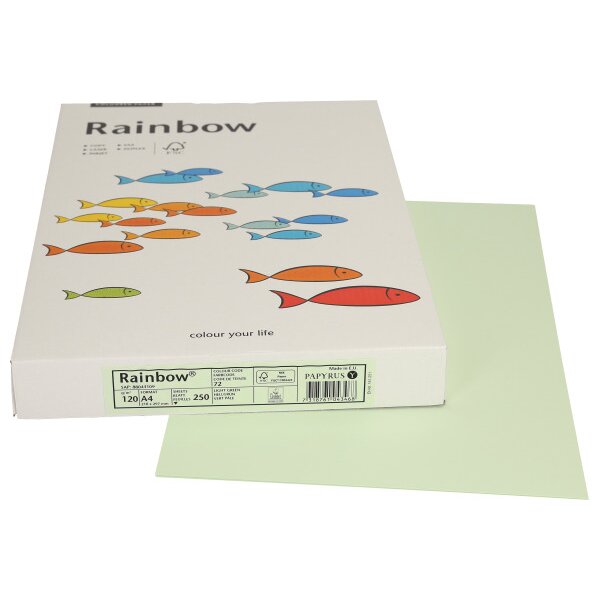 RAINBOW Papier hellgr&uuml;n/72 A4 88043109 FSC, 120g 250 Blatt