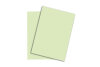 PAPYRUS Rainbow Papier FSC A4 88043109 hellgrün, 120g 250 Blatt