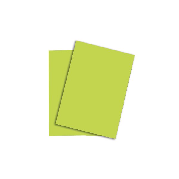 RAINBOW Papier vert vif/74 A4 88043110 FSC, 120g 250 feuilles