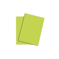 PAPYRUS Rainbow Paper FSC A4 88043110 120g, vert 250...